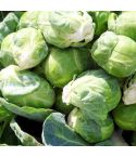 Suttons Seeds - Brussel Sprout - F1 Content
