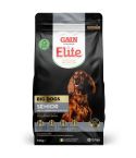 Gain Elite Big Dogs Senior Dog Food - 12Kg 
