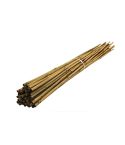 Grass Roots 90cm 20pc Natural Bamboo Canes