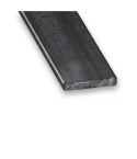 Hot Rolled Varnished Steel Flat Strip - 14mm x 5mm x 1m