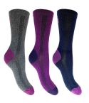 Ladies Lightweight Hiker Socks (Size 4-7) - Pack of 3