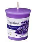 Bolsius Round Candle - Lavender 