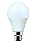 Evolec LED GLS Bulb B22 - 20W