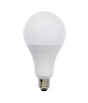 Tezla 22w GLS Cool White LED ES Lightbulb