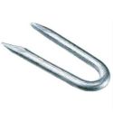 Moy Mechanical Galvanised Fence Staples 30mm x 3.55mm x 1kg
