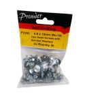 Premier Hex Head Screws with Washers - 4.8 x 19mm (No.10) - Pack Of 50