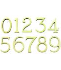 Polished Brass Numbers