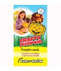 Fun To Grow Pumpkin Seeds - Crafty Pumpkin (Hundredweight)