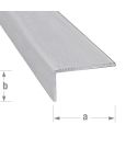 Raw Aluminium Step Edging - 45mm x 23mm x 2m 