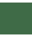 Dulux High Gloss Paint - Sheffield Green 2.5L