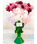 SWEET PEA SEEDS - SHOWBENCH MIX
