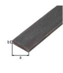 Steel Flat Profile Raw Finish - 30 x 6mm x 2m  