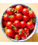 Tomato Seeds - Sweet Aperitif - Pack of 10