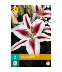 Lillium Hachi Flower Bulbs - Pack Of 5