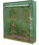 Tomato Greenhouse 