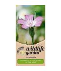 Wildlife Garden Seeds - Corncockle
