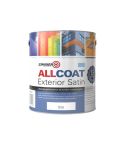 Zinsser AllCoat Exterior Water Based Satin Paint - 1L White