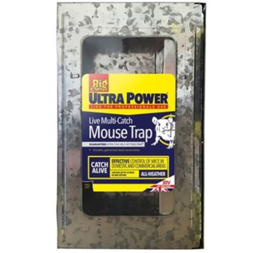 Buy a Big Cheese Ultra Power Live Multi-Catch Mouse Trap Online in