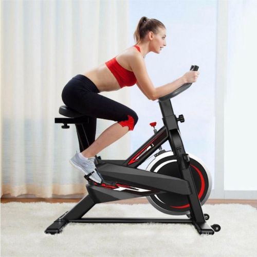 Buy a Spinning Bike Basic Online in Ireland at Lenehans.ie Hardware for Generations