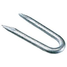 40mm Galv Netting Staples 250g