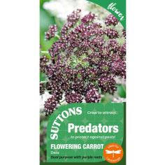 Suttons Dara Flowering Carrot Seeds