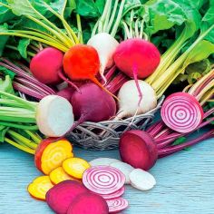 Suttons Seeds - Beetroot - Rainbow Mix