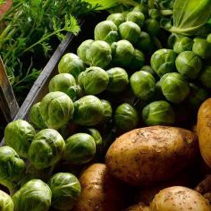 Suttons Seeds - Brussels Sprouts - Bedford-Fillbasket