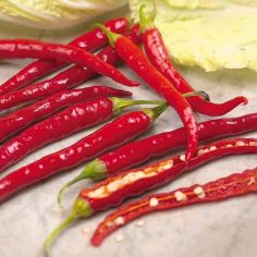 Suttons Seeds - Pepper Chilli - De Cayenne