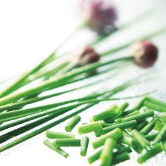Suttons Seeds - Chives 