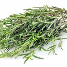 Suttons Seeds - Rosemary