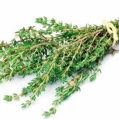 Suttons Seeds - Thyme - Common