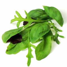 Suttons Seeds - Leaf Salad - Italian Mix