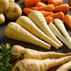 Suttons Seeds - Parsnip - Tender And True