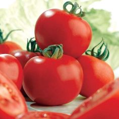Suttons Seeds - Tomato - Ailsa Craig