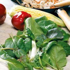 Suttons Seeds - Leaf Salad - Stir Fry Mix