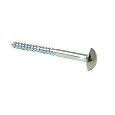 Chrome Mirror Screw - 2"