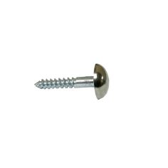 Chrome Mirror Screw - 1"