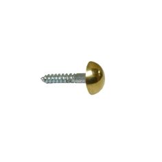 Brass Mirror Screw - 1" 