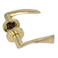 Amig Brass Alba Rosette Door Handles