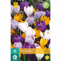 Crocus Mix Flower Bulbs - Pack Of 10