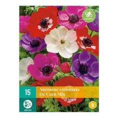 Anemone Coronaria Mix Flower Bulbs - Pack Of 15