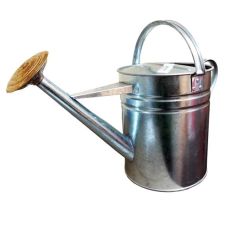 Galvanised Traditional 2 Gallon Watering Can