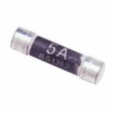 5 Amp Fuse