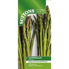 Asparagus Seeds - F1 Ariane