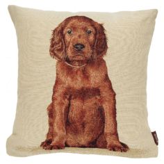 Baby Setter Cushion - 45cm x 45cm 