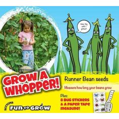 Bean (Runner) Seeds (Scarlet Emperor)