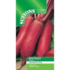 Beetroot Seeds - Cylindra