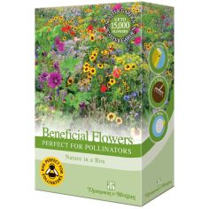 Beneficial Flowers Perfect For Pollinators