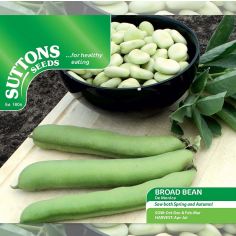 Bean (Broad) Seeds - De Monica