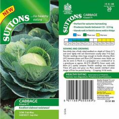 Cabbage Seeds - F1 Kilazol